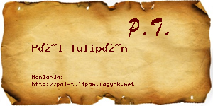 Pál Tulipán névjegykártya